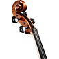 Ren Wei Shi Artist Viola 16.5 in. with Arcolla Bow and Oblong Case