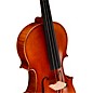 Ren Wei Shi Artist Viola 16.5 in. with Arcolla Bow and Oblong Case