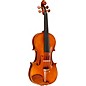 Ren Wei Shi Artist Model 1 Violin With Arcolla Bow and Bellafina Euro Case thumbnail
