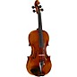 Ren Wei Shi Artist Model 2 Violin With Arcolla Bow and Bellafina Euro Case thumbnail