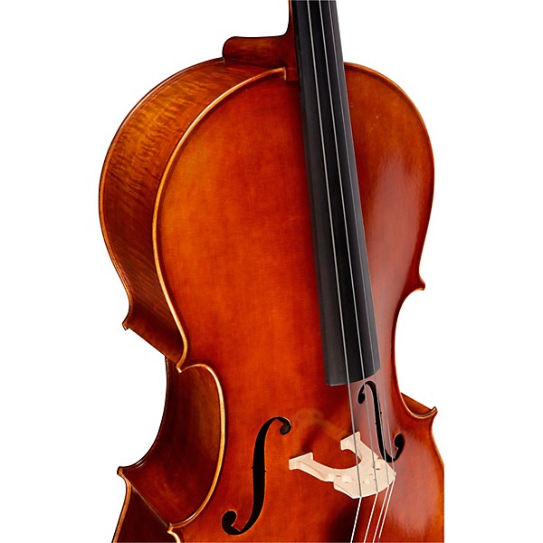 Ren Wei Shi Model 7000 Cello