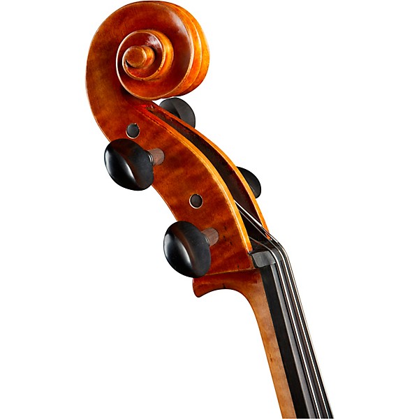 Open Box Ren Wei Shi Model 8000 Cello Level 2 Cello Only 197881023645