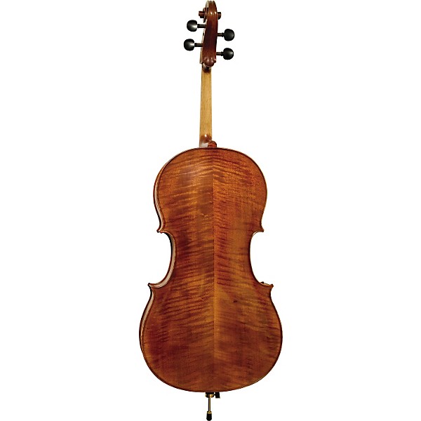 Open Box Bellafina Model 510 Cello Outfit Level 1 4/4 Size