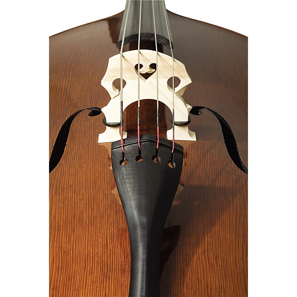 Bellafina Prima Double Bass Outfit