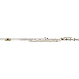 Open Box Gemeinhardt 3SHB Series Intermediate Flute Level 2 Offset G, B Foot, Gold Lip Plate 888366029206