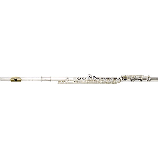 Open Box Gemeinhardt 3SHB Series Intermediate Flute Level 2 Offset G, B Foot, Gold Lip Plate 888366029206