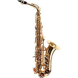 Open Box Amati AS43 Intermediate Alto Saxophone Level 2 Gold Lacquer 190839017451