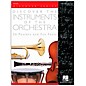 Hal Leonard Discover the Instruments of the Orchestra Posters thumbnail