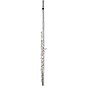 Pearl Flutes 525 Series Intermediate Flute Model 525RBE1RB - B Foot, Offset G with Split E