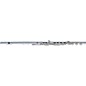 Pearl Flutes Quantz 765 Series Professional Flute 765RBE1RB - B Foot, Offset G with Split E thumbnail