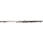 Pearl Flutes Quantz 765 Series Professional Flute 765RB1RB - B Foot , Inline G thumbnail