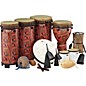 Remo World Music Drumming Packages Package E - 39 Instruments thumbnail