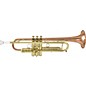 Open Box Kanstul 1601 Series Bb Trumpet Level 2 1601-1 Lacquer 889406976306 thumbnail