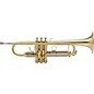 Selmer Concept TT Series Bb Trumpet Brushed Matte (1903M)