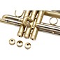 Selmer Concept TT Series Bb Trumpet Brushed Matte (1903M)