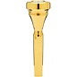 Denis Wick DW4882 Classic Series Trumpet Mouthpiece in Gold 5X