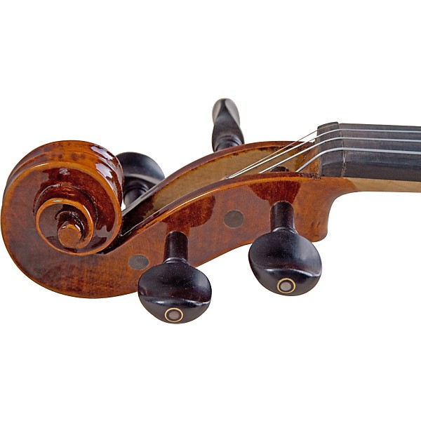 Open Box Florea Prodigy violin outfit Level 1 4/4 Size