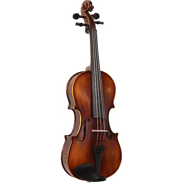 Open Box Florea Prodigy violin outfit Level 1 3/4 Size