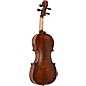 Open Box Florea Prodigy violin outfit Level 1 3/4 Size