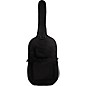 Protec Deluxe Bass Gig Bag