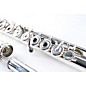 Open Box Haynes Handmade Drawn Tonehole Model Professional Flute Level 2 .016 Wall / Inline G / Gold Riser 888365950808