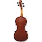 Open Box Florea Persoana Violin Outfit Level 2 3/4 Size 888365320182