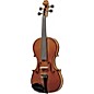 Open Box Florea Persoana Violin Outfit Level 2 3/4 Size 888365320182