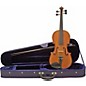 Florea Secal Violin Outfit 1/2 Size thumbnail