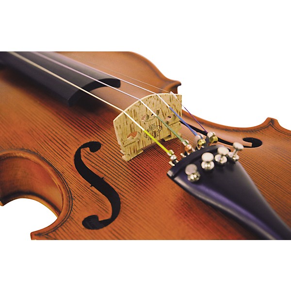 Florea Secal Violin Outfit 1/2 Size
