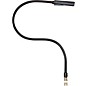 Littlite 18G-LED 18" Gooseneck LED Lamp with BNC Connector 18 in. thumbnail