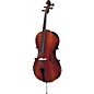 Strunal 40/4 Student Cello 1/2 thumbnail