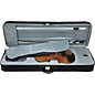 Florea Primo Violin Case 4/4 Size