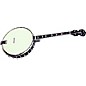 Gold Tone Goldtone IT-250 Left Handed Irish Tenor Banjo with Gold Hardware thumbnail