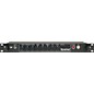 Open Box Tech 21 Sansamp RBI Rackmount Bass Tube Amp Emulator Level 2 Regular 888366022658