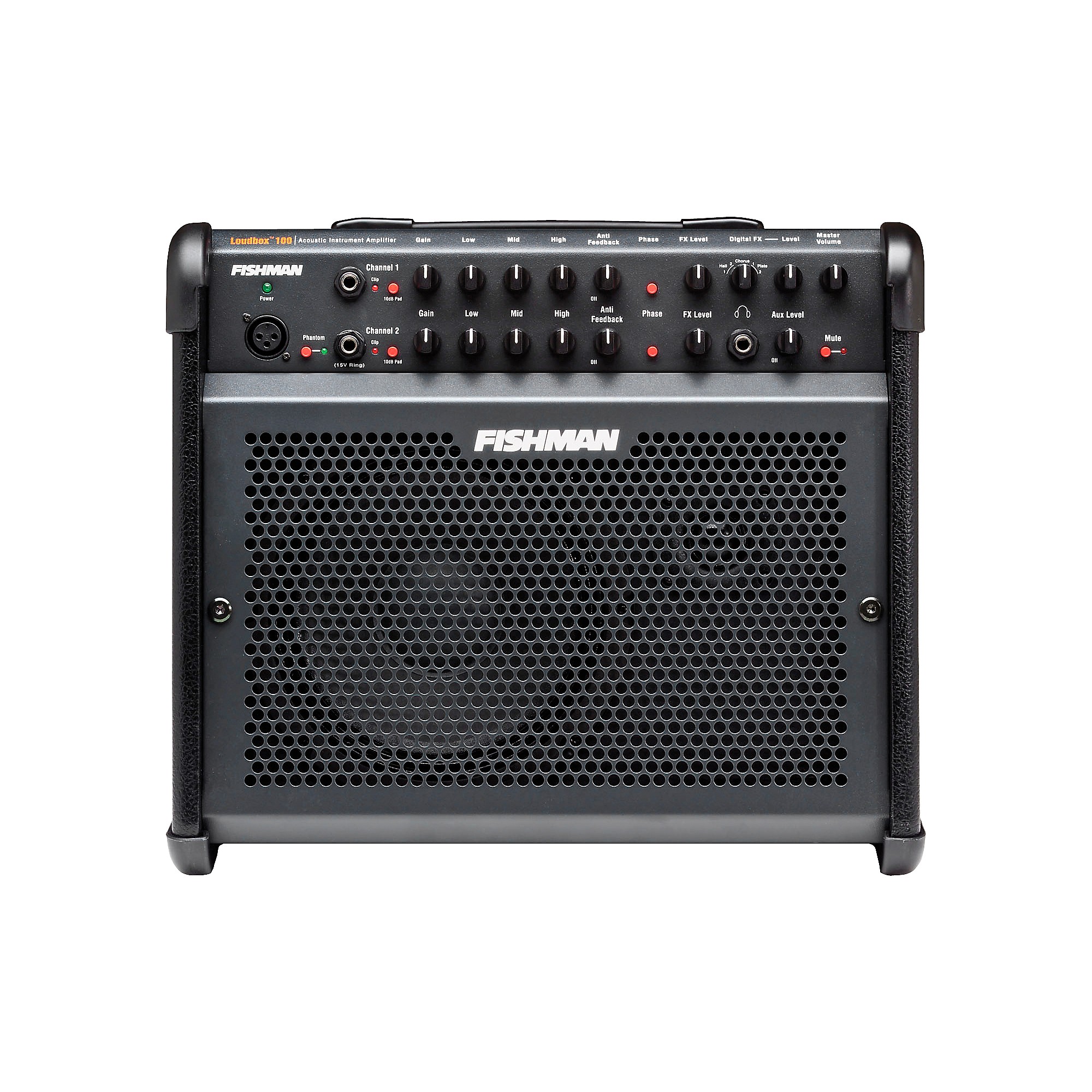 FISHMAN アコースティックアンプ Loudbox100 【公式通販】