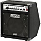 Fender Bassman 100 Combo Amp