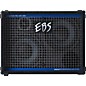 EBS Evolution ProLine 210 Pro Speaker Cabinet