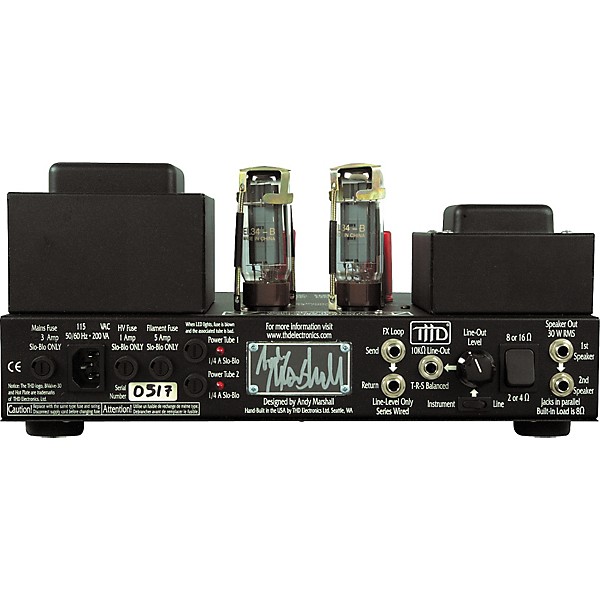 THD Bi-Valve 30 30W Class A Tube Amp Head