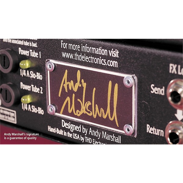 THD Bi-Valve 30 30W Class A Tube Amp Head