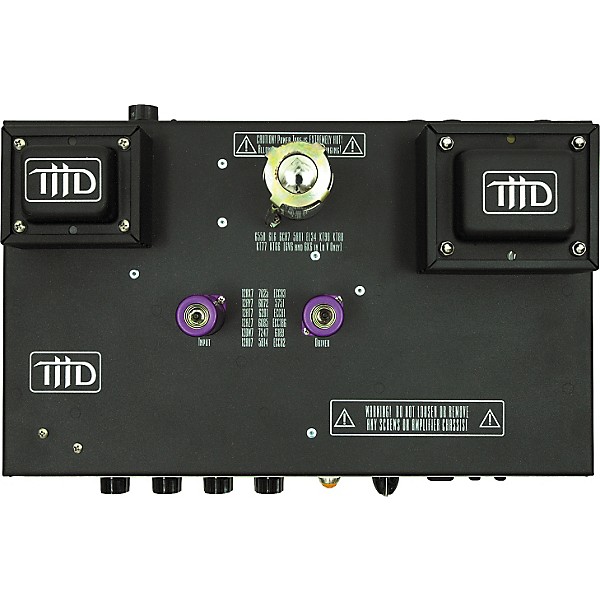 THD Univalve Amp with Groove Tubes