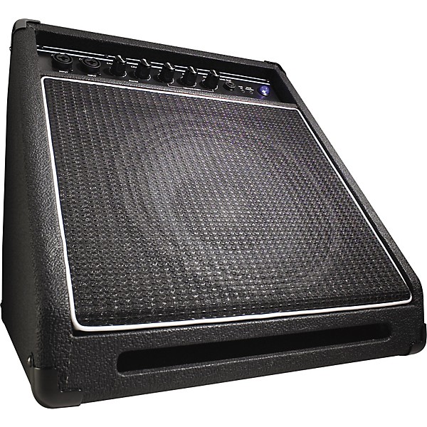 Open Box Acoustic AB50 Acoustic Bass Combo Amplifier Level 1