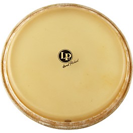 LP Conga Head 11.75 in.