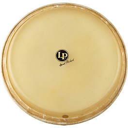 LP Conga Head 12.5 in.