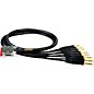 Mogami Gold 8 Channel DB25-TRS Snake Cable 2 ft. thumbnail