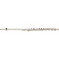 Jupiter 1011 Artist Series Flute 1011RBS - Inline G thumbnail
