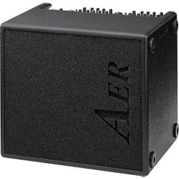 AER AER Domino 2A 100W 2x8 Acoustic Guitar Combo Amp Black