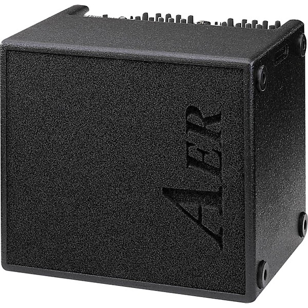 AER AER Domino 2A 100W 2x8 Acoustic Guitar Combo Amp Black