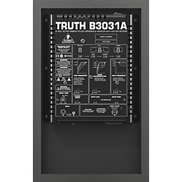 Behringer TRUTH B3031A Monitor (Single)