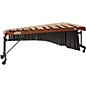 Dynasty Signature Mark Ford Marimba Signature Frame 5 Octave Rosewood Bars thumbnail