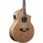 Ibanez Exotic Wood Series EW2012ASENT 12-String Acoustic-Electric Guitar Gloss Natural thumbnail
